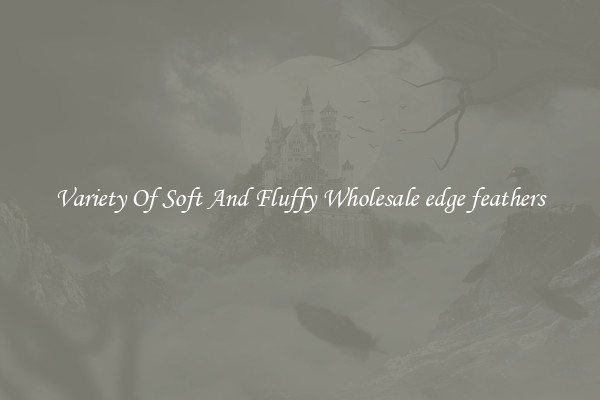 Variety Of Soft And Fluffy Wholesale edge feathers