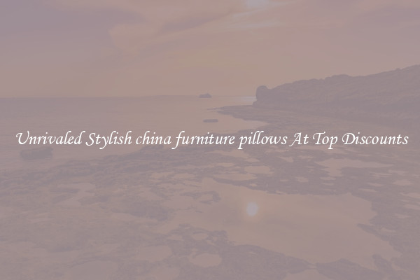 Unrivaled Stylish china furniture pillows At Top Discounts
