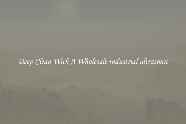 Deep Clean With A Wholesale industrial ultrasonic