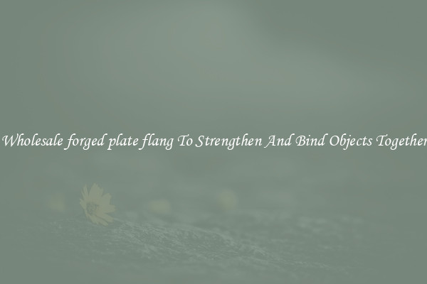 Wholesale forged plate flang To Strengthen And Bind Objects Together