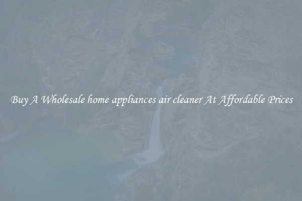 Buy A Wholesale home appliances air cleaner At Affordable Prices
