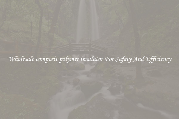 Wholesale composit polymer insulator For Safety And Efficiency