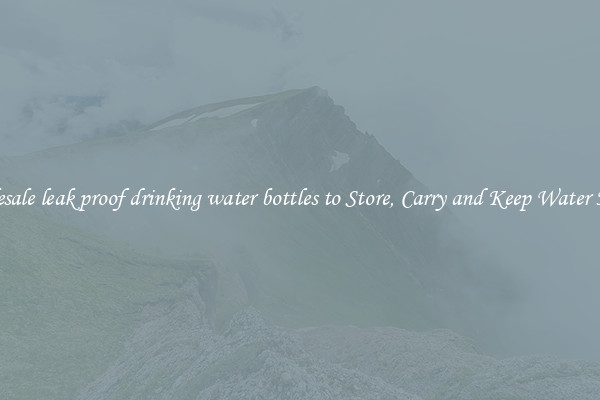 Wholesale leak proof drinking water bottles to Store, Carry and Keep Water Handy