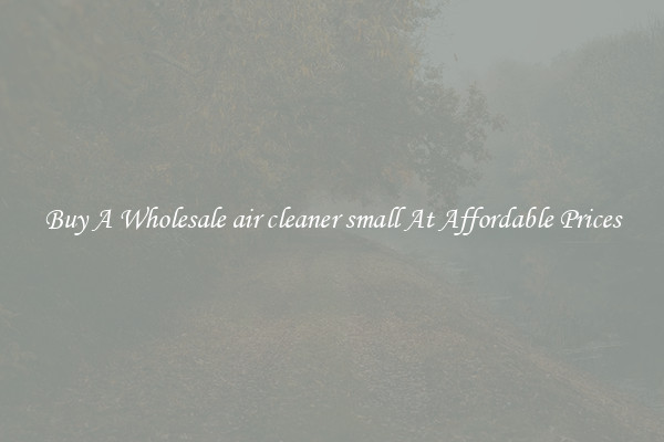 Buy A Wholesale air cleaner small At Affordable Prices