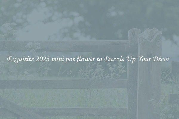 Exquisite 2023 mini pot flower to Dazzle Up Your Décor  