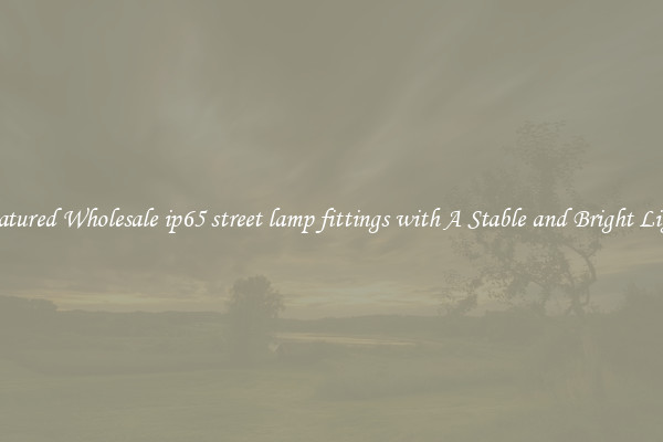 Featured Wholesale ip65 street lamp fittings with A Stable and Bright Light