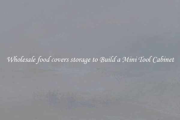 Wholesale food covers storage to Build a Mini Tool Cabinet