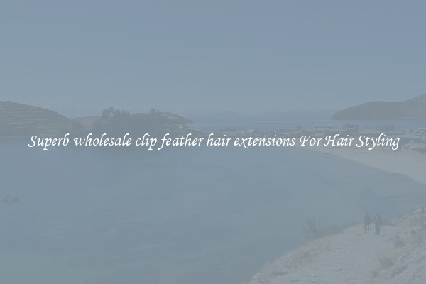Superb wholesale clip feather hair extensions For Hair Styling