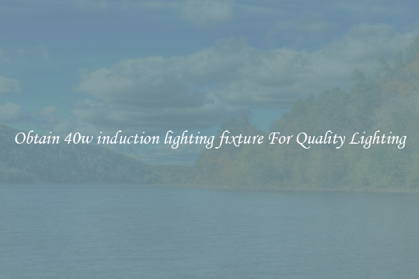Obtain 40w induction lighting fixture For Quality Lighting