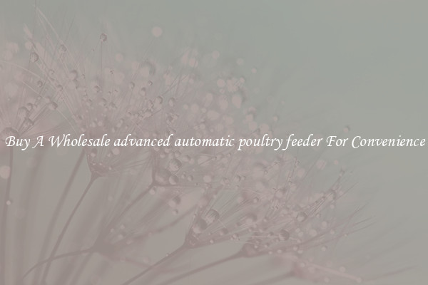 Buy A Wholesale advanced automatic poultry feeder For Convenience