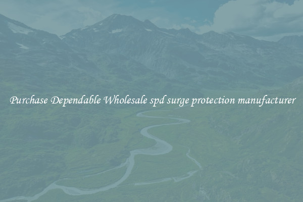 Purchase Dependable Wholesale spd surge protection manufacturer
