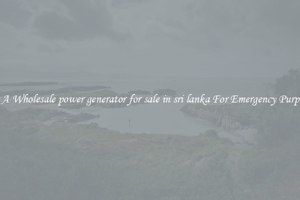 Get A Wholesale power generator for sale in sri lanka For Emergency Purposes