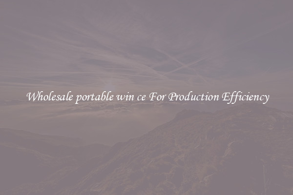 Wholesale portable win ce For Production Efficiency