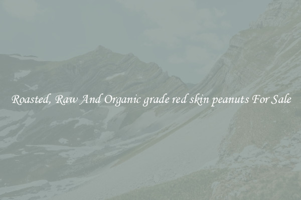 Roasted, Raw And Organic grade red skin peanuts For Sale