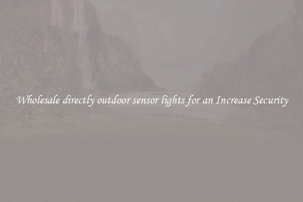 Wholesale directly outdoor sensor lights for an Increase Security