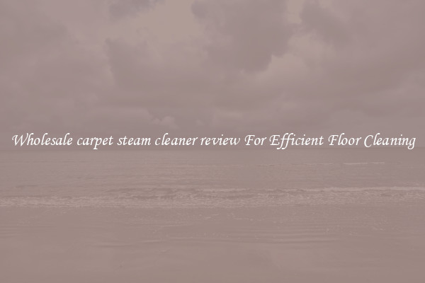 Wholesale carpet steam cleaner review For Efficient Floor Cleaning