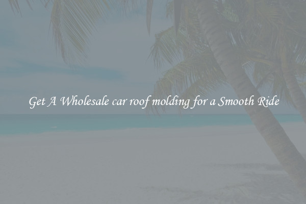 Get A Wholesale car roof molding for a Smooth Ride