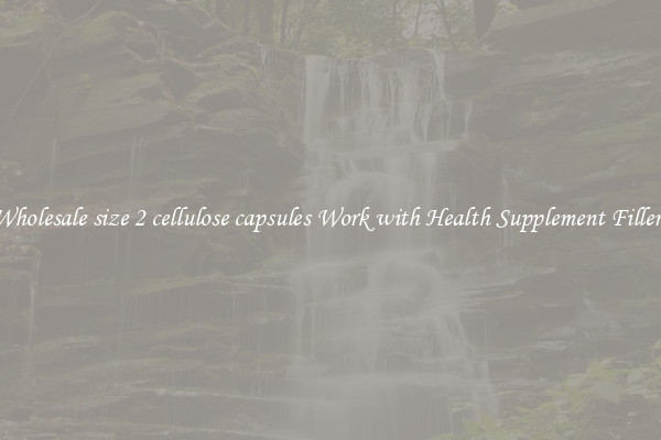 Wholesale size 2 cellulose capsules Work with Health Supplement Fillers
