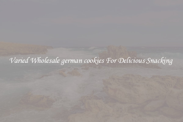 Varied Wholesale german cookies For Delicious Snacking 
