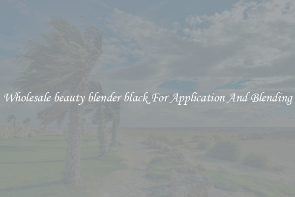 Wholesale beauty blender black For Application And Blending
