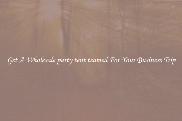 Get A Wholesale party tent teamed For Your Business Trip