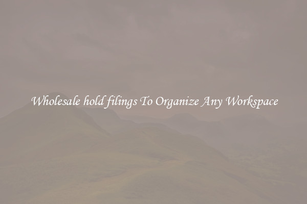 Wholesale hold filings To Organize Any Workspace