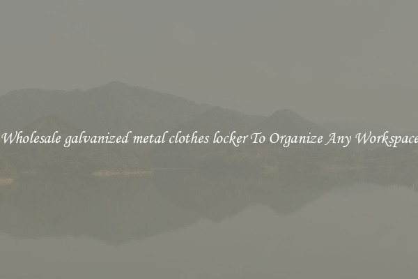 Wholesale galvanized metal clothes locker To Organize Any Workspace